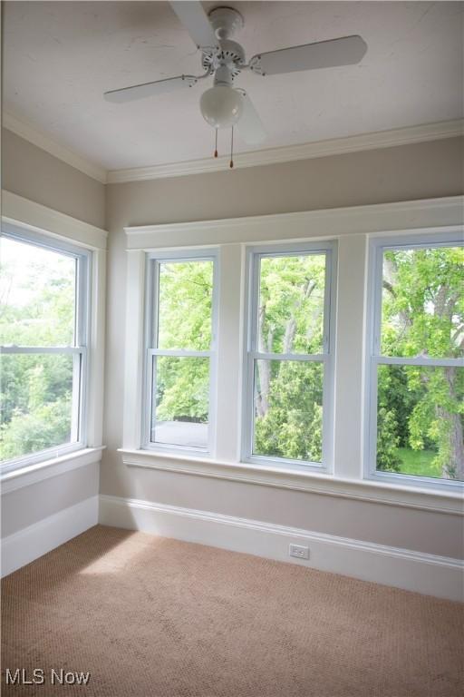 3311 E Fairfax Rd, Cleveland Heights, OH 44118 - photo 18