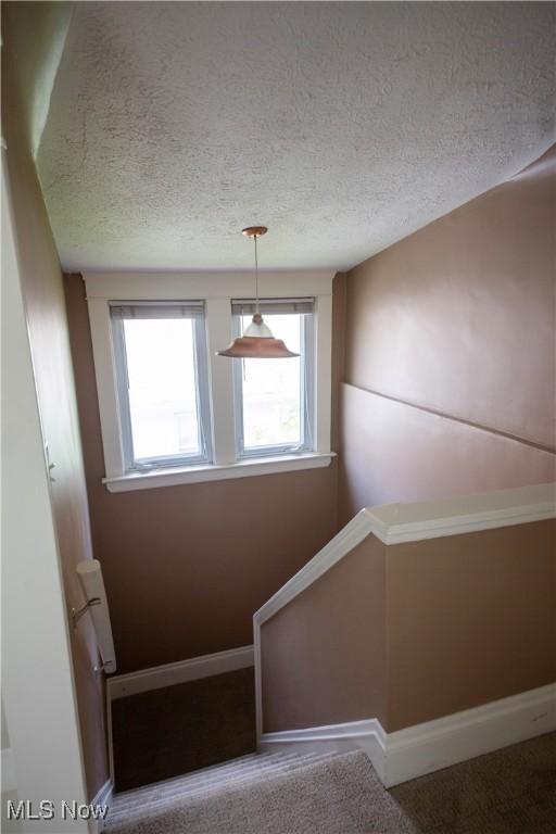 3311 E Fairfax Rd, Cleveland Heights, OH 44118 - photo 30