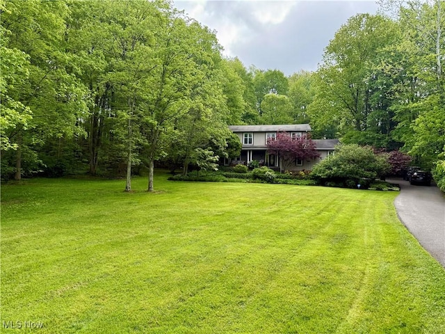 15217 Fox Run, Chagrin Falls, OH 44022 - view of grassy yard with a view of trees