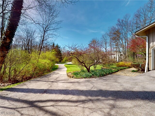 15217 Fox Run, Chagrin Falls, OH 44022 - view of road