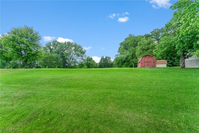 6567 Mount Everett Rd, Hubbard, OH 44425 - view of green lawn with an outbuilding