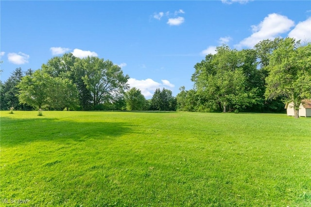 6567 Mount Everett Rd, Hubbard, OH 44425 - view of green lawn
