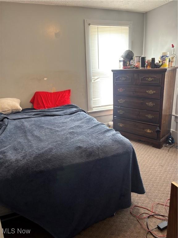 11 Front St, Rittman, OH 44270 - carpeted bedroom with a textured ceiling