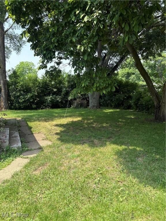 11 Front St, Rittman, OH 44270 - view of grassy yard