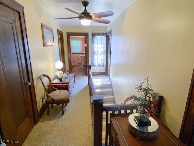 4115 Howard St, Youngstown, OH 44512 - photo 40