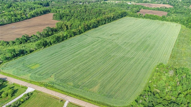 Dewey Rd, Thompson, OH 44086