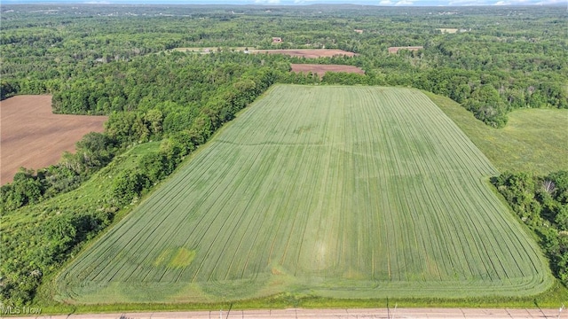 Dewey Rd, Thompson, OH 44086