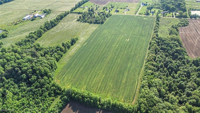 Dewey Rd, Thompson, OH 44086