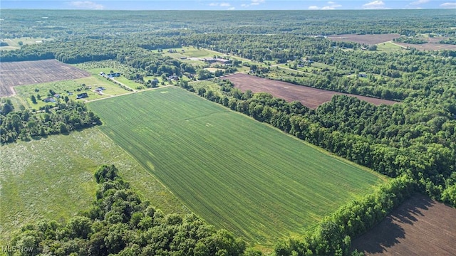 Dewey Rd, Thompson, OH 44086
