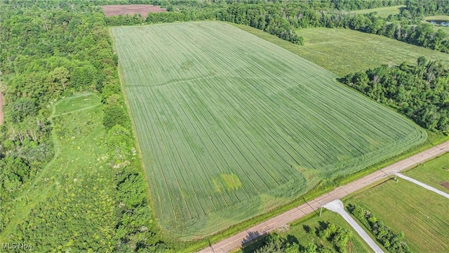 Dewey Rd, Thompson, OH 44086