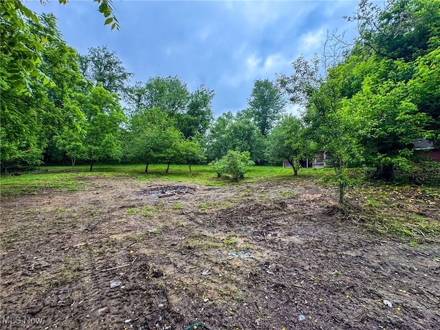 5477 Dueber Ave, East Sparta, OH 44626 - view of yard with a wooded view