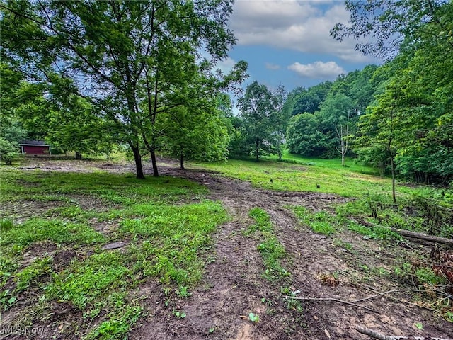 5477 Dueber Ave, East Sparta, OH 44626 - view of yard with a forest view
