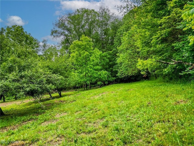 5477 Dueber Ave, East Sparta, OH 44626 - view of yard featuring a view of trees