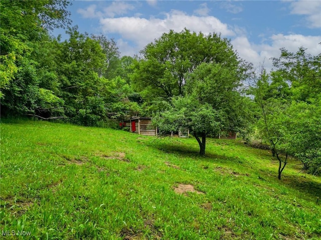 5477 Dueber Ave, East Sparta, OH 44626 - view of yard