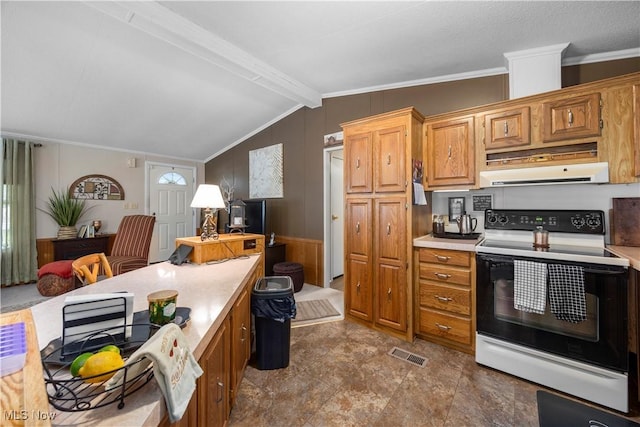 8 Symphony St, Olmsted Twp, OH 44138 - kitchen featuring electric range, extractor fan, light countertops, ornamental molding, and brown cabinetry