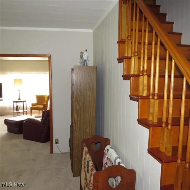 399 N Main St, Amsterdam, OH 43903 - stairs featuring carpet and ornamental molding