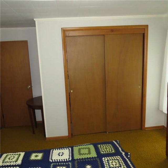 399 N Main St, Amsterdam, OH 43903 - unfurnished bedroom featuring ornamental molding, a closet, and carpet