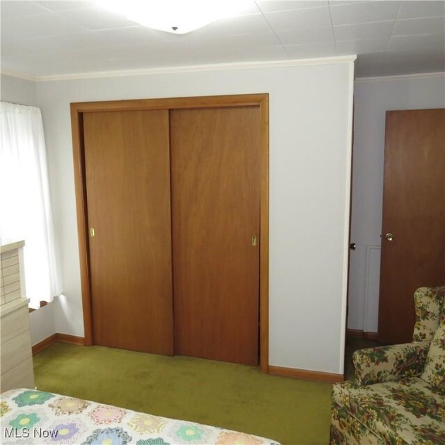 399 N Main St, Amsterdam, OH 43903 - carpeted bedroom featuring a closet and crown molding