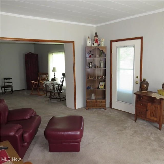 399 N Main St, Amsterdam, OH 43903 - carpeted living area with ornamental molding