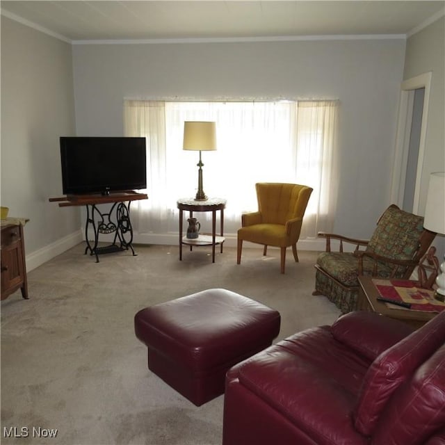 399 N Main St, Amsterdam, OH 43903 - living area featuring ornamental molding and carpet flooring