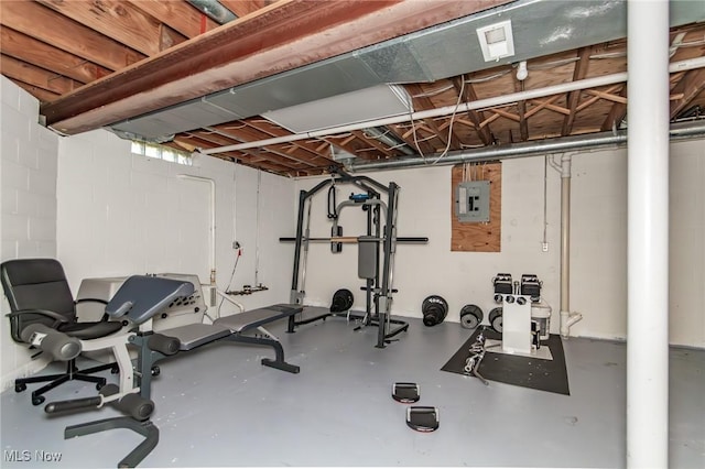 5710 Cardinal Dr, Mentor, OH 44060 - exercise room with electric panel