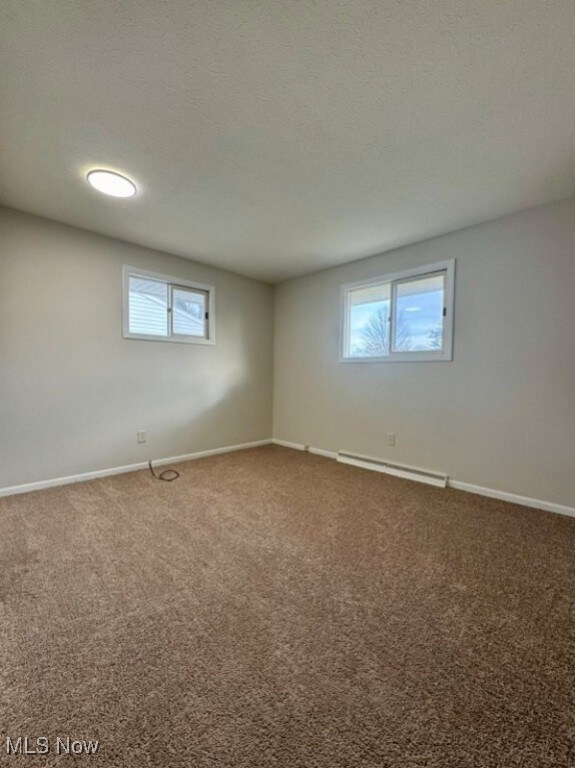 233 Kennedy St, Louisville, OH 44641 - below grade area with a baseboard radiator, plenty of natural light, and carpet floors