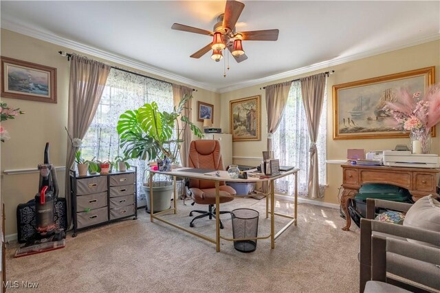 1201 Overlook Dr, Alliance, OH 44601 - office space featuring a ceiling fan, carpet floors, and crown molding