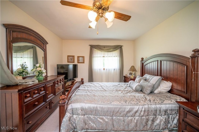 6685 Elwood St, Austintown, OH 44515 - bedroom with carpet and ceiling fan