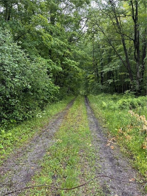 9161 Robinson Rd, Chardon, OH 44024