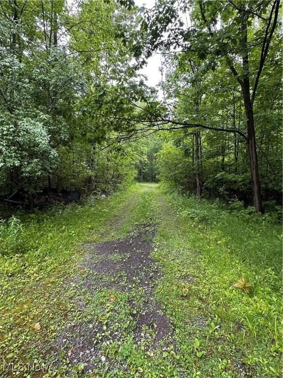 9161 Robinson Rd, Chardon, OH 44024
