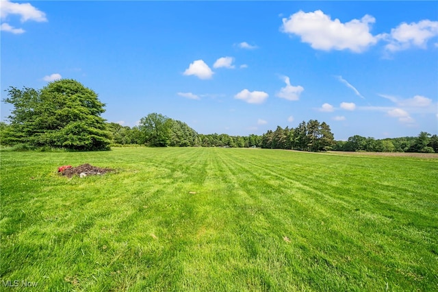 350 Townline Rd, Aurora, OH 44202 - view of green lawn with a view of rural / pastoral area