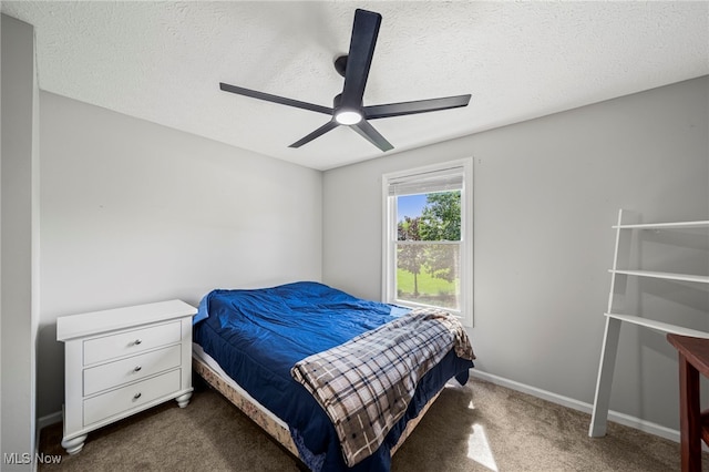 350 Townline Rd, Aurora, OH 44202 - bedroom with carpet flooring, a ceiling fan, and a textured ceiling