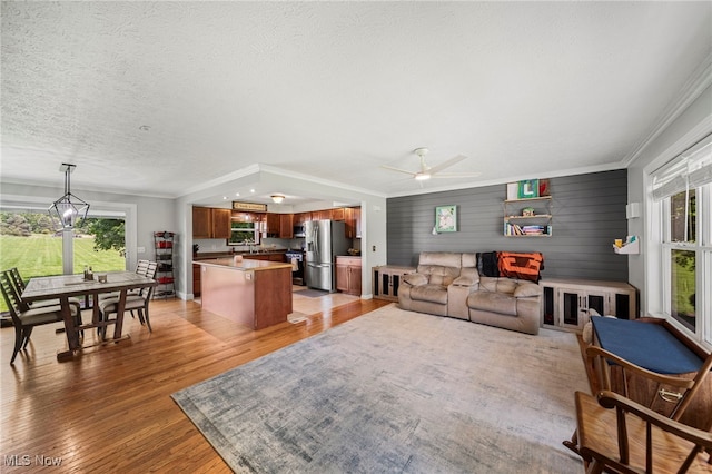 350 Townline Rd, Aurora, OH 44202 - living room with plenty of natural light, light wood-type flooring, crown molding, and a ceiling fan