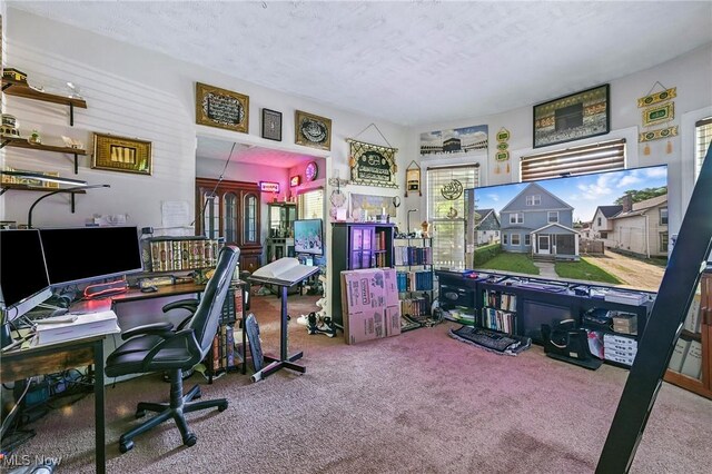 3676 E 69th St, Cleveland, OH 44105 - office space featuring carpet flooring, healthy amount of natural light, and a textured ceiling