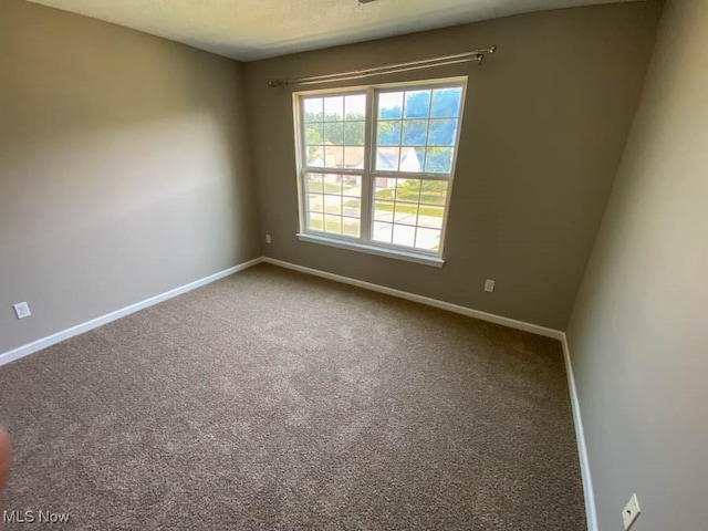 37972 Avalon Dr, North Ridgeville, OH 44039 - photo 8
