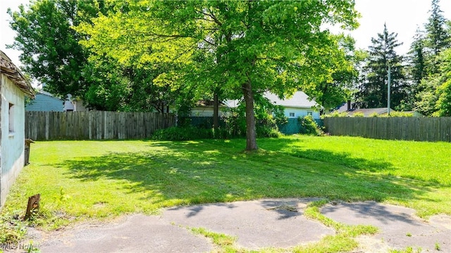 1369 Adelaide Ave SE, Warren, OH 44484 - view of fenced yard