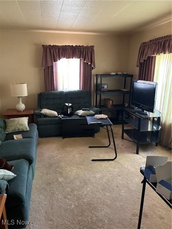 925 Ohio Ave, Mcdonald, OH 44437 - living area with carpet flooring