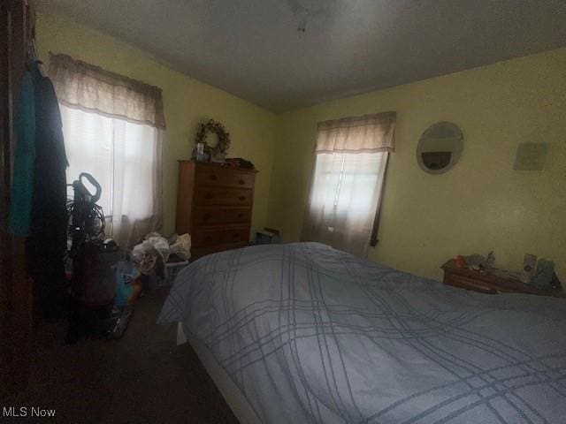 20371 Morris Ave, Euclid, OH 44123 - view of bedroom