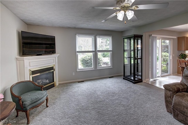 881 Brightwood Ct, Brunswick, OH 44212 - carpeted living area with ceiling fan, a glass covered fireplace, and a textured ceiling