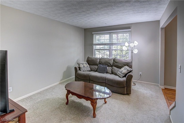 881 Brightwood Ct, Brunswick, OH 44212 - living area with a textured ceiling and carpet flooring