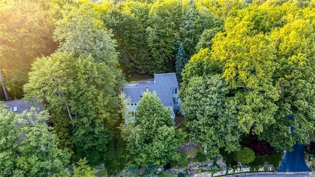 1345 Mockingbird Dr, Kent, OH 44240 - aerial view of a forest