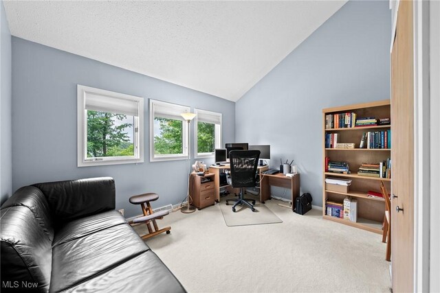 1345 Mockingbird Dr, Kent, OH 44240 - carpeted office with vaulted ceiling