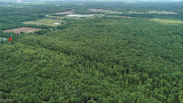 5769 Hurlburt Rd, Rome, OH 44085 - bird's eye view of a heavily wooded area