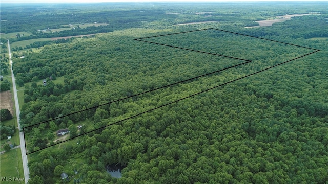 5769 Hurlburt Rd, Rome, OH 44085 - aerial overview of property's location featuring a forest and property boundaries highlighted