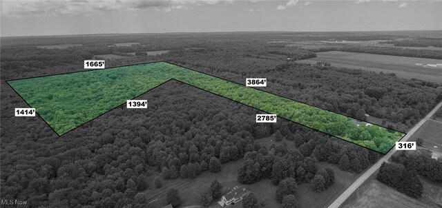 5769 Hurlburt Rd, Rome, OH 44085 - view of rural area featuring property boundaries highlighted and a heavily wooded area