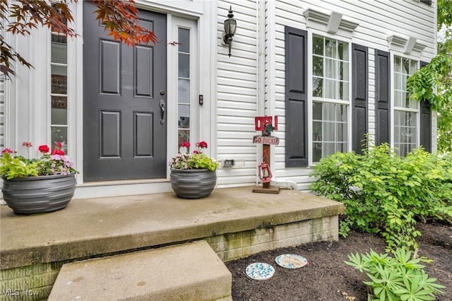 4532 Ridgestone Way, Medina, OH 44256 - view of exterior entry