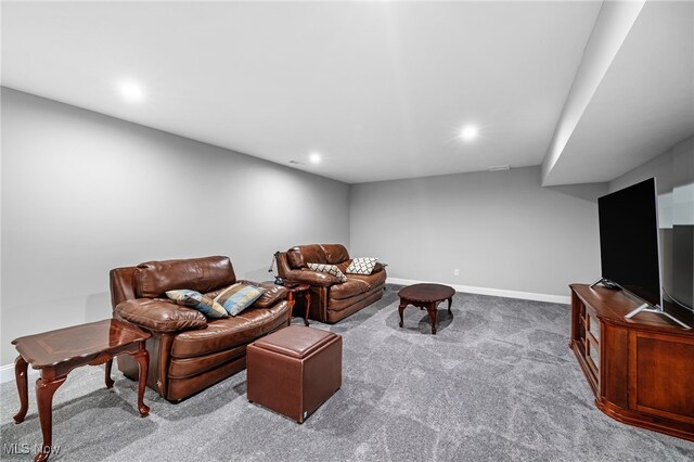 1343 Skyland Falls Blvd, Hinckley, OH 44233 - photo 37