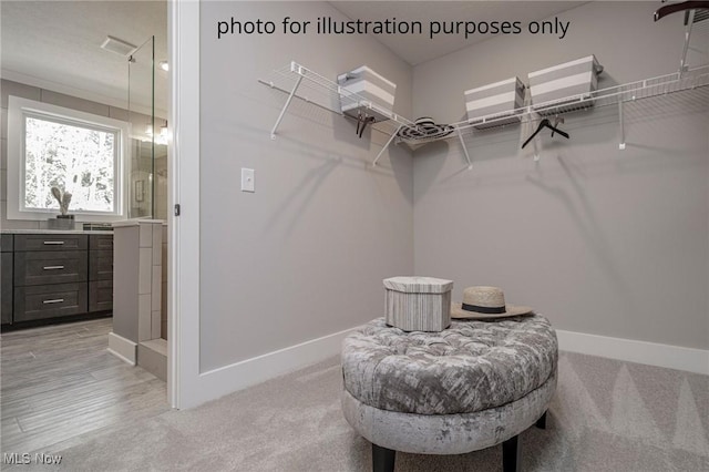 3344 White Willow Ln, Brunswick, OH 44212 - spacious closet with light carpet