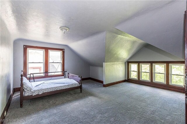 1101 Carlyon Rd, East Cleveland, OH 44112 - photo 22