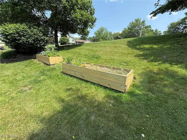 22399 Township Rd Unit 1203, West Lafayette, OH 43845 - view of community with a vegetable garden and a lawn